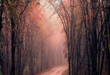 开云体育平台APP-越南球队崭露头角，杀入亚冠八强