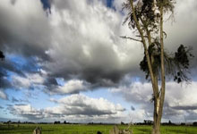 开云体育app-钢铁防线铸就荣光！汉堡1球定江山，升级之路迎曙光