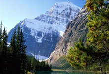 开云体育在线-钢铁洪流再启航！德国战车横扫欧洲全解析