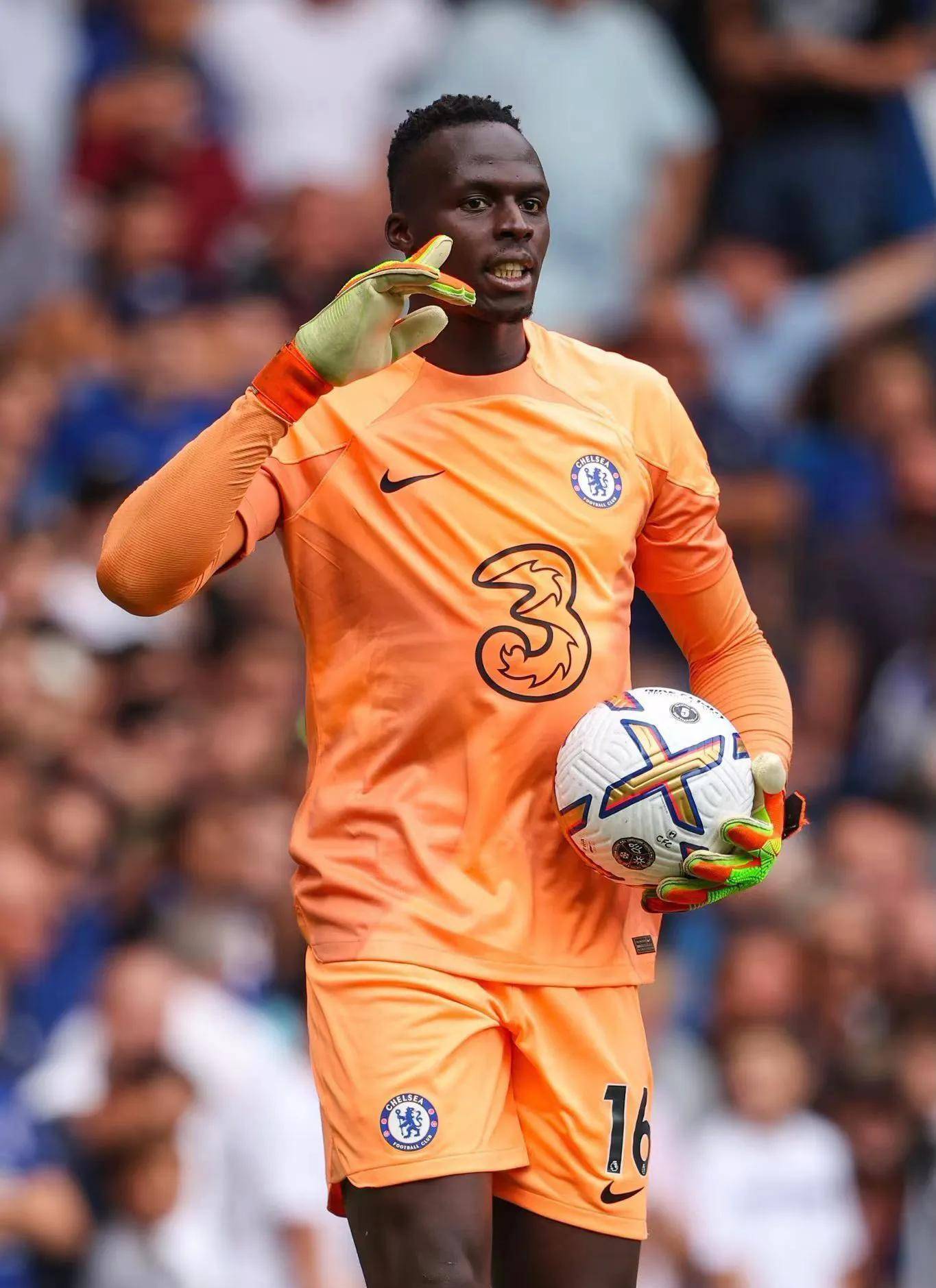 非洲篮球俱乐部联赛人气飙升