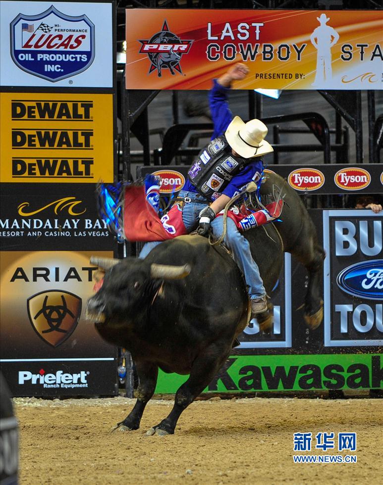 美国代表勇敢争夺,向荣誉进发 美国代表勇敢争夺,向荣誉进发