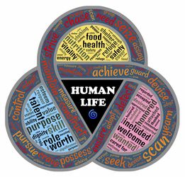 开云体育app-恩菲尔德新援适应良好，世俱杯表现备受期待