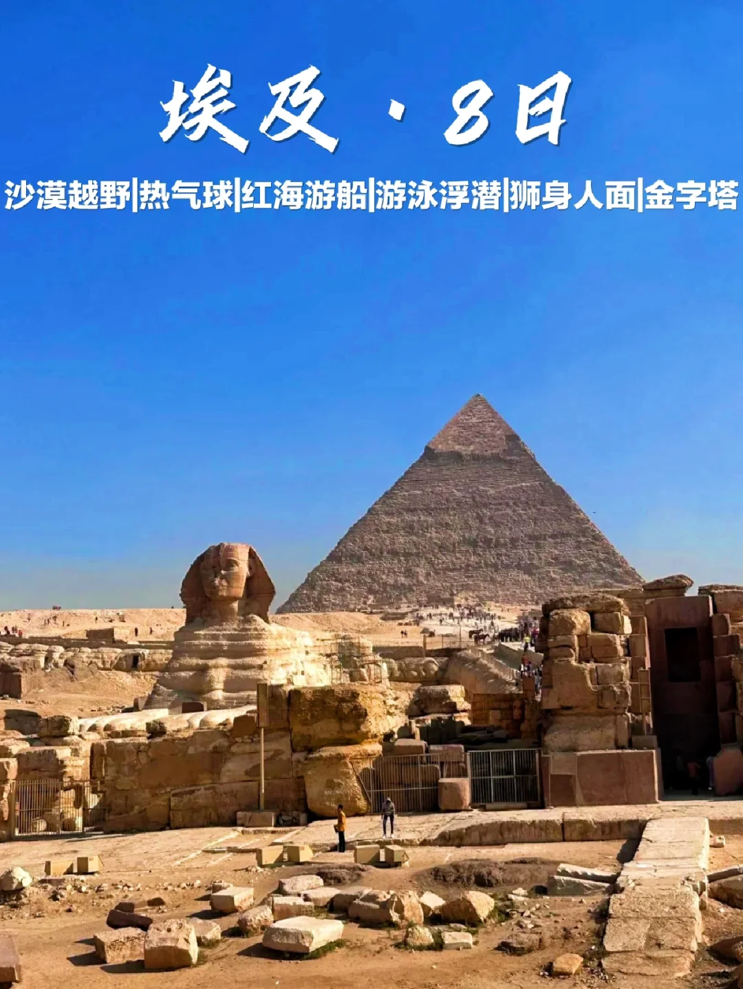 埃及游泳选手硬闯终点，勇夺季军