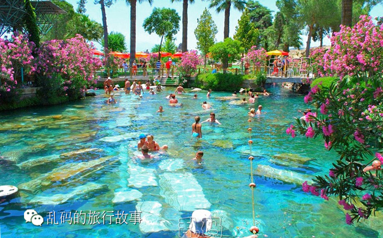 埃及游泳选手硬闯终点，勇夺季军