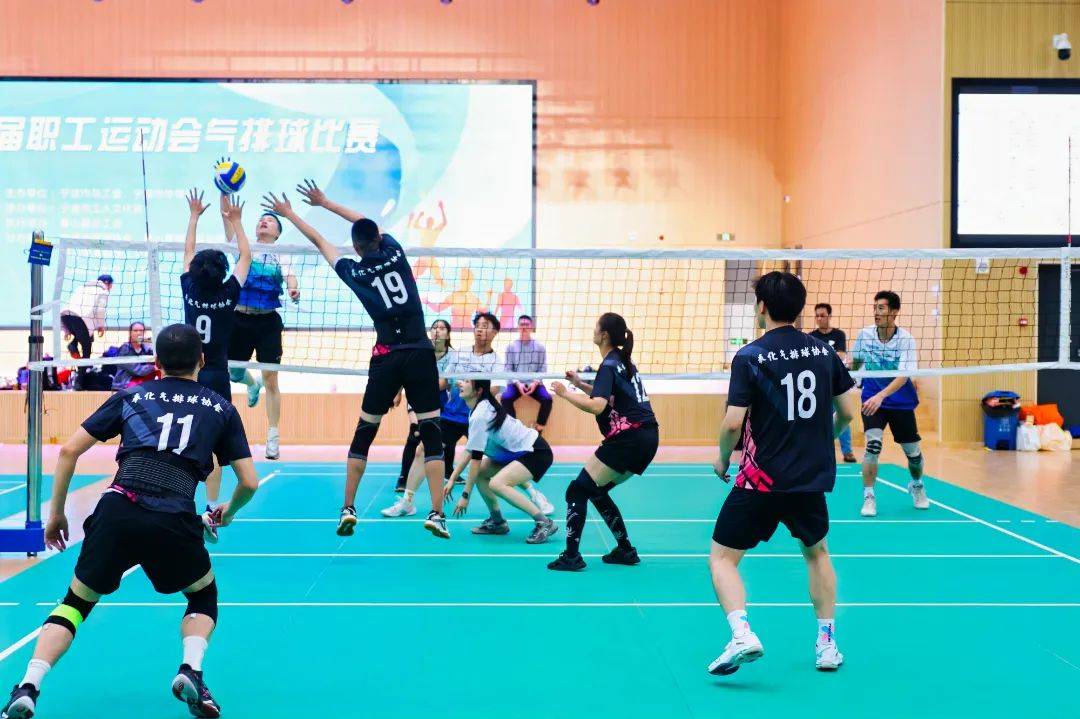 比赛中出现的精彩一幕引发观众欢呼 比赛中出现的精彩一幕引发观众欢呼